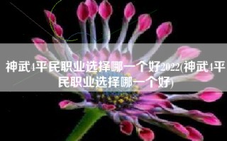 神武4平民职业选择哪一个好2022(神武4平民职业选择哪一个好)