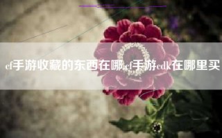 cf手游收藏的东西在哪,cf手游cdk在哪里买