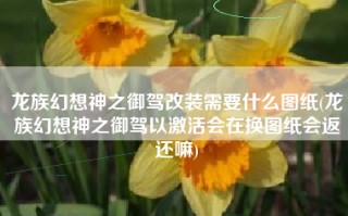 龙族幻想神之御驾改装需要什么图纸(龙族幻想神之御驾以激活会在换图纸会返还嘛)