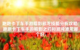 跑跑卡丁车手游暗影邪龙技能分析攻略(跑跑卡丁车手游暗影之刃和混沌雏龙哪个好)