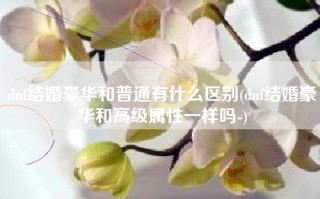 dnf结婚豪华和普通有什么区别(dnf结婚豪华和高级属性一样吗-)