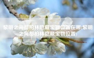 黎明之海都柏林隐藏宝物位置在哪(黎明之海都柏林隐藏宝物位置)
