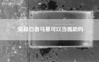 究极忍者马基可以当援助吗