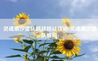 灵魂潮汐雷队越战挑战攻略(灵魂潮汐雷队强吗)