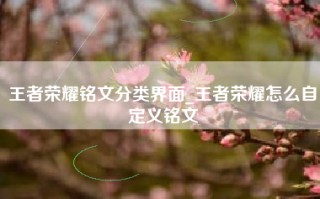 王者荣耀铭文分类界面_王者荣耀怎么自定义铭文