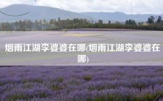 烟雨江湖李婆婆在哪(烟雨江湖李婆婆在哪)