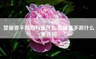 楚留香手游百万是什么,楚留香手游什么是连招