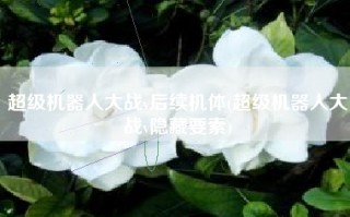 超级机器人大战v后续机体(超级机器人大战v隐藏要素)