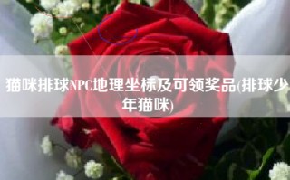 猫咪排球NPC地理坐标及可领奖品(排球少年猫咪)