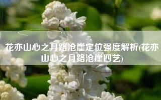花亦山心之月路沧崖定位强度解析(花亦山心之月路沧崖四艺)