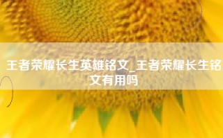 王者荣耀长生英雄铭文_王者荣耀长生铭文有用吗