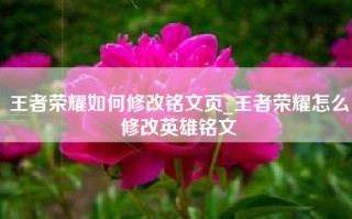 王者荣耀如何修改铭文页_王者荣耀怎么修改英雄铭文