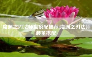 魔渊之刃法师盘搭配推荐(魔渊之刃法师装备搭配)