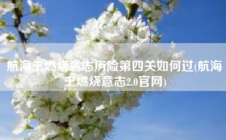 航海王燃烧意志历险第四关如何过(航海王燃烧意志2.0官网)