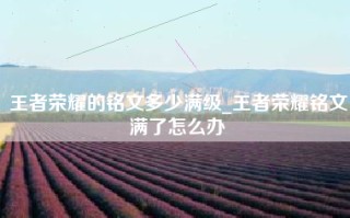 王者荣耀的铭文多少满级_王者荣耀铭文满了怎么办