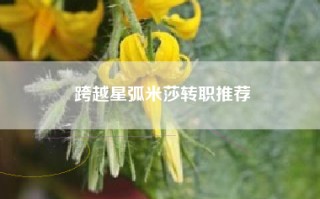 跨越星弧米莎转职推荐