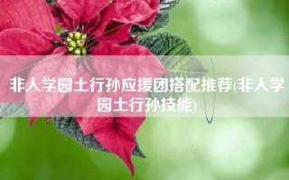 非人学园土行孙应援团搭配推荐(非人学园土行孙技能)