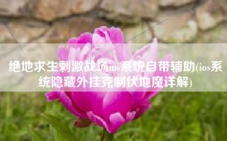 绝地求生刺激战场ios系统自带辅助(ios系统隐藏外挂克制伏地魔详解)