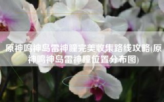 原神鸣神岛雷神瞳完美收集路线攻略(原神鸣神岛雷神瞳位置分布图)