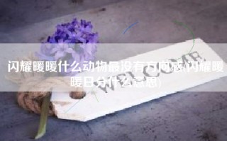 闪耀暖暖什么动物最没有方向感(闪耀暖暖日分什么意思)