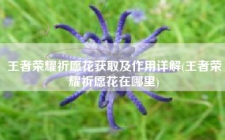 王者荣耀祈愿花获取及作用详解(王者荣耀祈愿花在哪里)