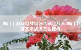 蜀门手游圣焰战场怎么锁定敌人(蜀门手游圣焰战场怎么挂机)