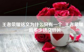 王者荣耀铭文为什么只有一个_王者荣耀一局多少铭文碎片