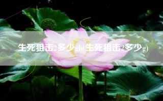 生死狙击2多少gb(生死狙击2多少g)