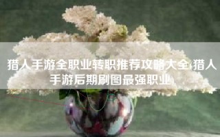 猎人手游全职业转职推荐攻略大全(猎人手游后期刷图最强职业)