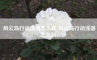 风云岛行动浅语怎么样(风云岛行动浅语怎么玩)