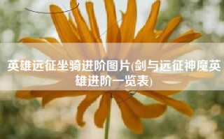 英雄远征坐骑进阶图片(剑与远征神魔英雄进阶一览表)