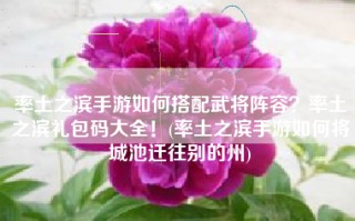 率土之滨手游如何搭配武将阵容？率土之滨礼包码大全！(率土之滨手游如何将城池迁往别的州)