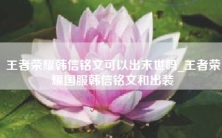 王者荣耀韩信铭文可以出末世吗_王者荣耀国服韩信铭文和出装