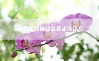 王者荣耀陈咬金暴击流铭文