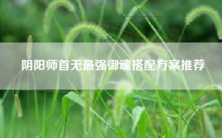 阴阳师首无最强御魂搭配方案推荐