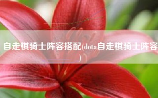 自走棋骑士阵容搭配(dota自走棋骑士阵容)