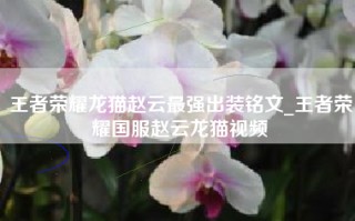 王者荣耀龙猫赵云最强出装铭文_王者荣耀国服赵云龙猫视频