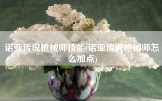 诺亚传说枪械师技能(诺亚传说枪械师怎么加点)
