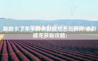 跑跑卡丁车手游赤影威龙怎么获得(赤影威龙获取攻略)