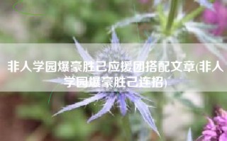 非人学园爆豪胜己应援团搭配文章(非人学园爆豪胜己连招)