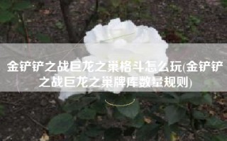 金铲铲之战巨龙之巢格斗怎么玩(金铲铲之战巨龙之巢牌库数量规则)