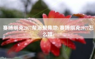 赛博朋克2077帮派聚集地(赛博朋克2077怎么嫖)