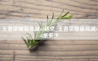 王者荣耀蓝色减cd铭文_王者荣耀最高减cd是多少