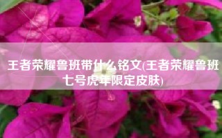 王者荣耀鲁班带什么铭文(王者荣耀鲁班七号虎年限定皮肤)
