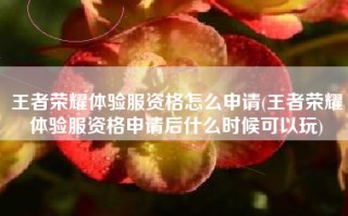 王者荣耀体验服资格怎么申请(王者荣耀体验服资格申请后什么时候可以玩)