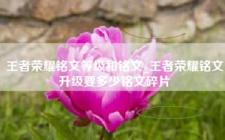 王者荣耀铭文等级和铭文_王者荣耀铭文升级要多少铭文碎片