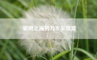 黎明之海努力发家致富