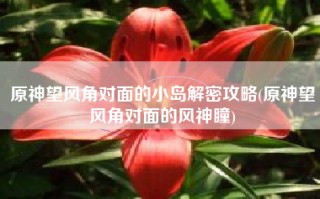 原神望风角对面的小岛解密攻略(原神望风角对面的风神瞳)