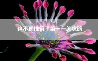 这不是推箱子第十一关攻略