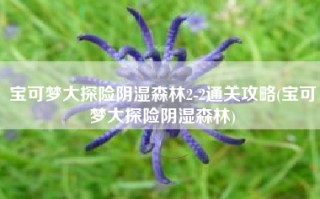 宝可梦大探险阴湿森林2-2通关攻略(宝可梦大探险阴湿森林)